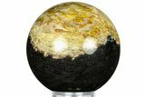 Polished Petrified Palm Wood Sphere - Indonesia #311584-1